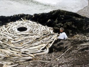 Rivers and Tides: Andy Goldsworthy Working With Time